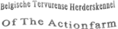 Logo The Actionfarm BVBA, Geraardsbergen