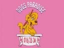 Logo Dogs Paradise Kessel-Lo, Kessel-Lo