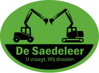 De Saedeleer Bert, Dendermonde