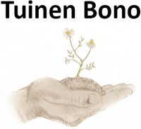 Totaalprojecten van tuinen - Tuinen Bono, Stekene