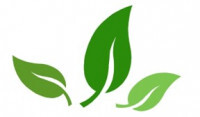 Logo Onderhoud van tuinen - John's Gardens, Koolkerke