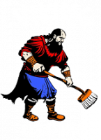 Logo Schoonmaak van kantoren - Viking Cleaning, Berchem (Antwerpen)