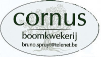 Logo Verkoop van buxus - BVBA Cornus, Olen