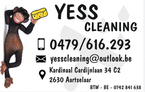 Yess Cleaning, Aartselaar