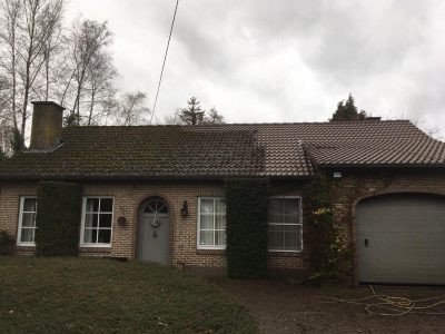Groene aanslag op dak verwijderen Olen, Antwerpen