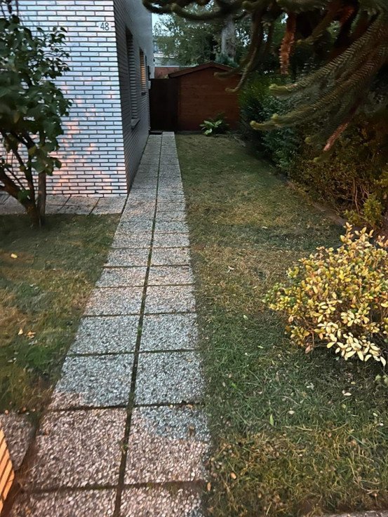 Tuin bestrating Rijkevorsel, Antwerpen