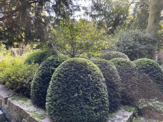 Tuinonderhoud Veurne, West-Vlaanderen