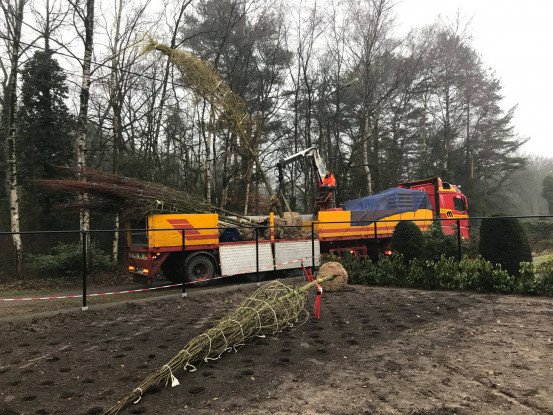 Tuinrenovatie Genk, Limburg