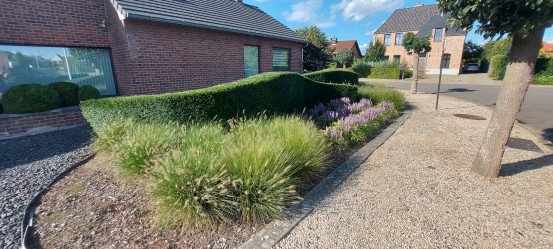 Professioneel tuinonderhoud Kermt (Hasselt), Limburg