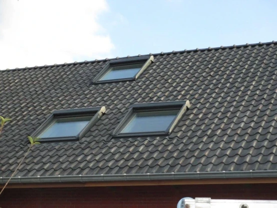 Velux dakraam plaatsen Putte, Antwerpen